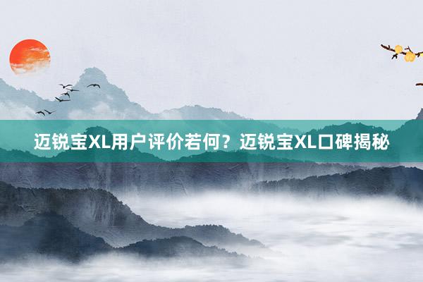 迈锐宝XL用户评价若何？迈锐宝XL口碑揭秘