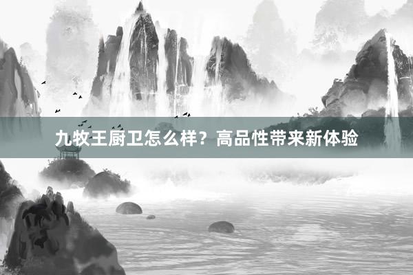 九牧王厨卫怎么样？高品性带来新体验