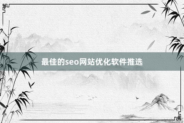 最佳的seo网站优化软件推选