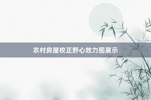 农村房屋校正野心效力图展示