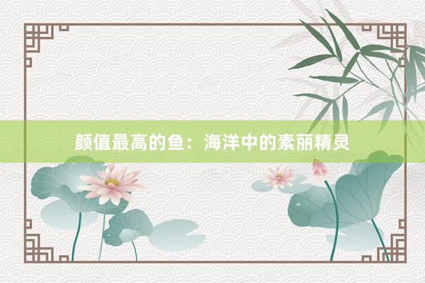 颜值最高的鱼：海洋中的素丽精灵