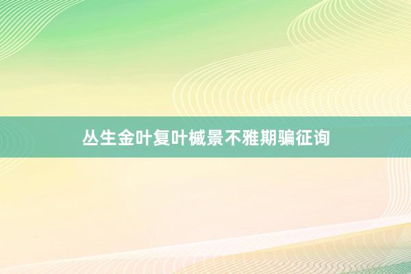 丛生金叶复叶槭景不雅期骗征询